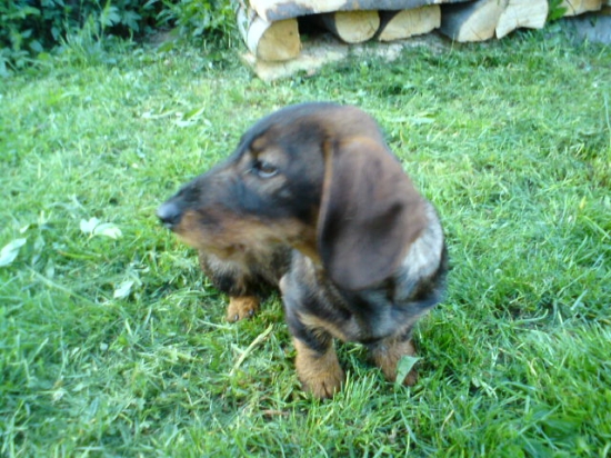 Ja sa chcem fotit len s profilu