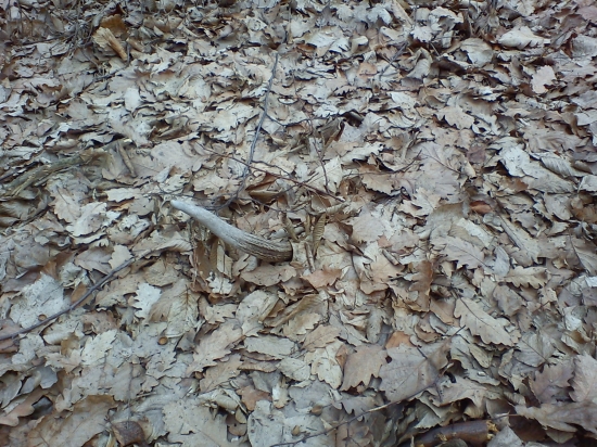 minulorocny 2 v tejto sezone