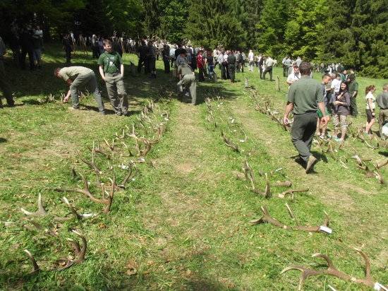 Vystava zhodov a trofeji Polana