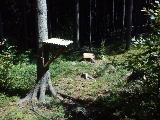 moj prvy krmelec zo soliskom