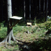 moj prvy krmelec zo soliskom