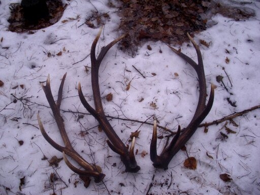 vcerajsi zatah sa vydaril