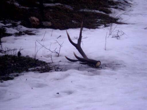 zachvilu to zacne :)))