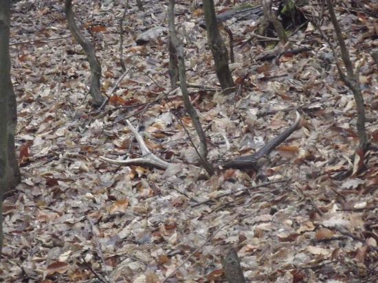 1/2014 Začiatok sezony