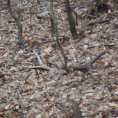 1/2014 Začiatok sezony