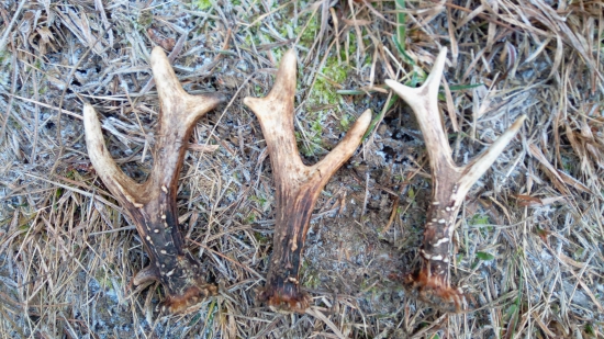 Keď sa šťastie usmeje...