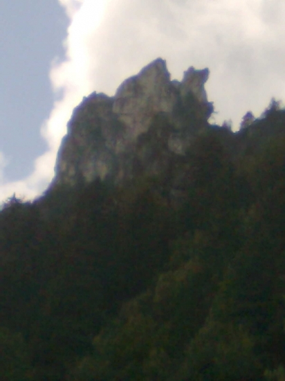 žeby ťava
