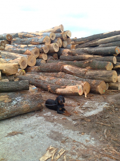 ASTOR z Čižatickej doliny