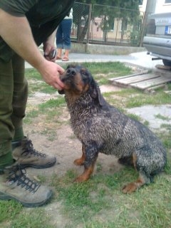 ASTOR z Čižatickej doliny