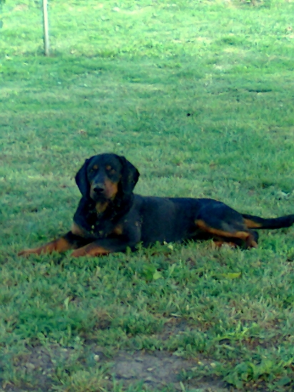 ASTOR z Čižatickej doliny