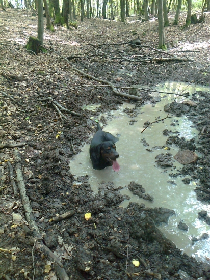 ASTOR z Čižatickej doliny
