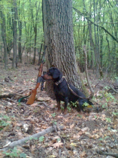 ASTOR z Čižatickej doliny