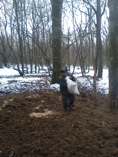 Dnešné prikrmovanie