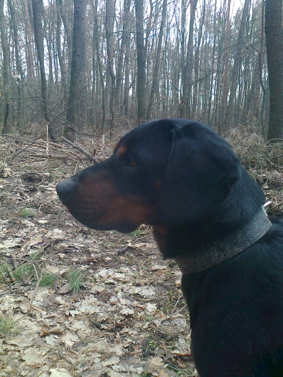 ASTOR z Čižatickej doliny