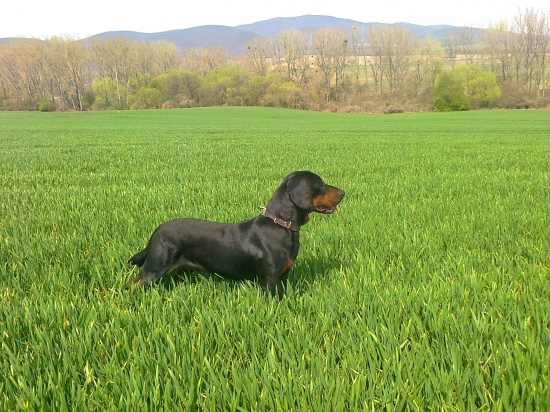 ASTOR z Čižatickej doliny
