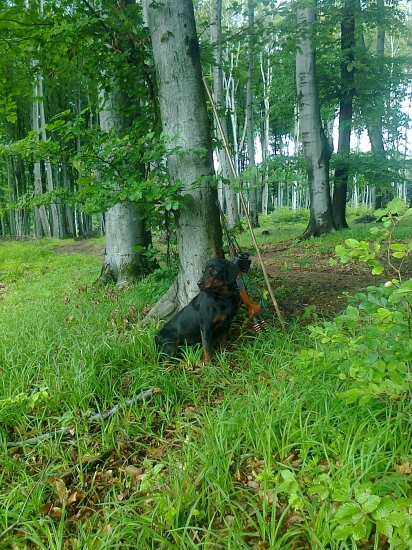 ASTOR z Čižatickej doliny