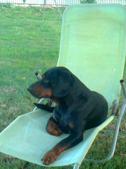 ASTOR z Čižatickej doliny