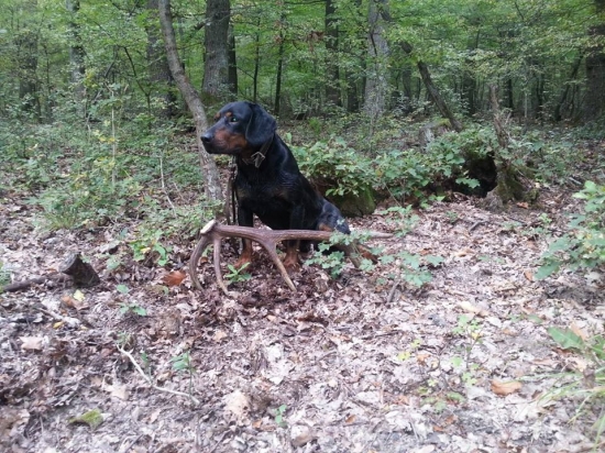 ASTOR z Čižatickej doliny