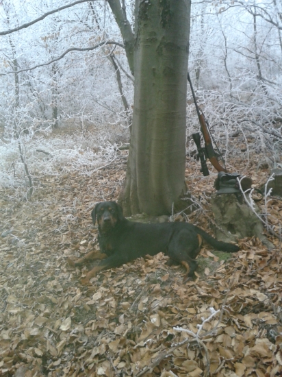 ASTOR z Čižatickej doliny