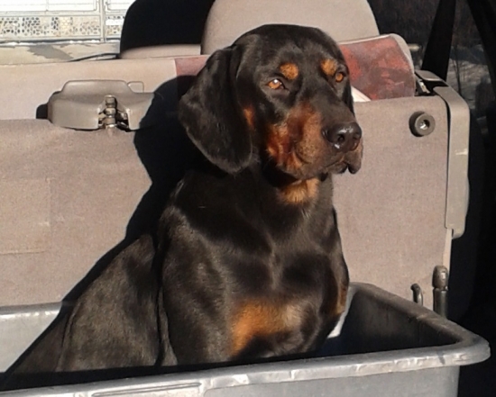 ASTOR z Čižatickej doliny