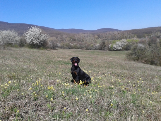 ASTOR z Čižatickej doliny