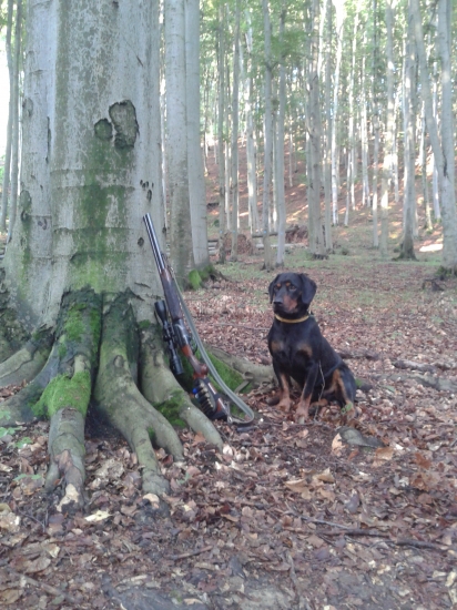 ASTOR z Čižatickej doliny