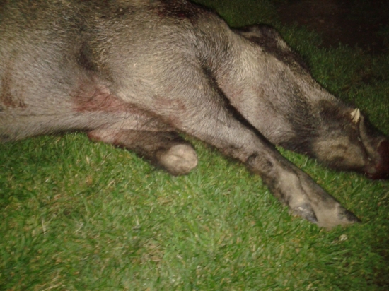 pred splnová trojnožka- detail