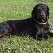 ASTOR z Čižatickej doliny