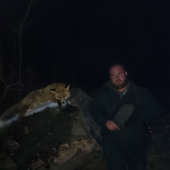 predvečerny lišiak