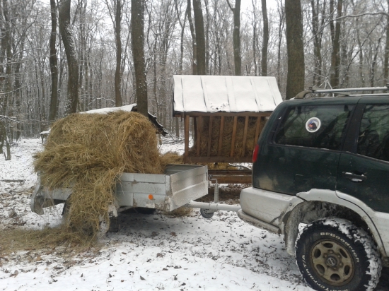 Doplniť seno, aby hladom nepomreli ....