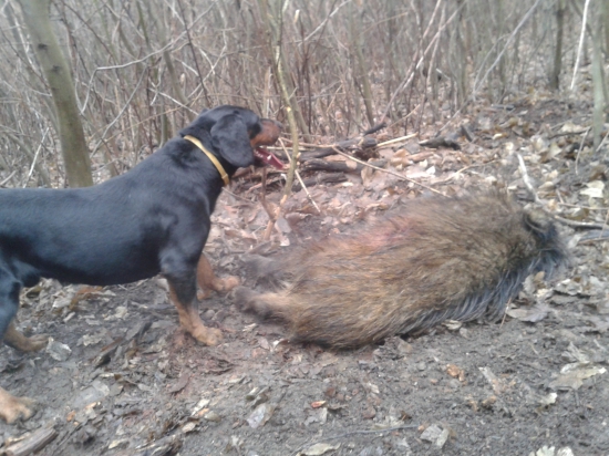 tesne po dostrelení