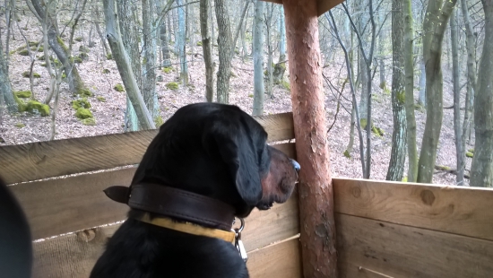 ASTOR z Čižatickej doliny