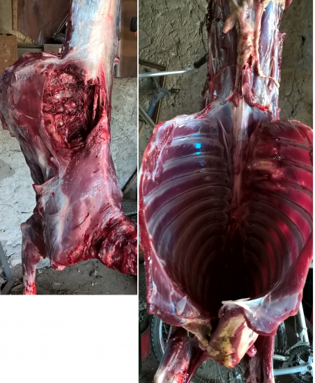 Sako Hamerhead 14,3g -  30-06