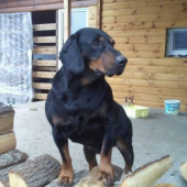 ASTOR z Čižatickej doliny