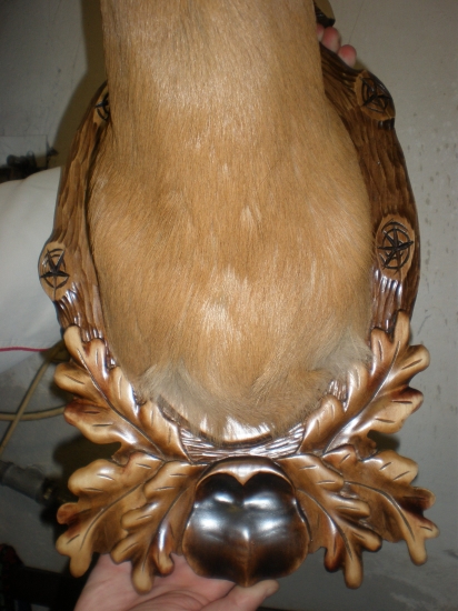 Podložka pod preparát srnca