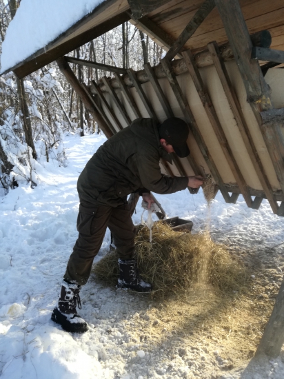 Prikŕmovať je potrebné stále