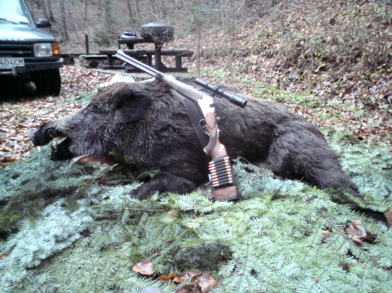 otcov minulotýždňový kanček