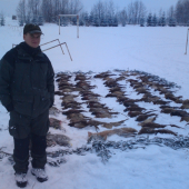 spoločná na bažanty