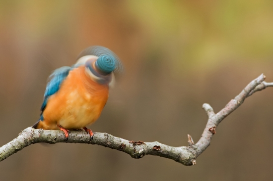 Rybárik - niééé :-)