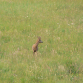 posledné foto/168839/