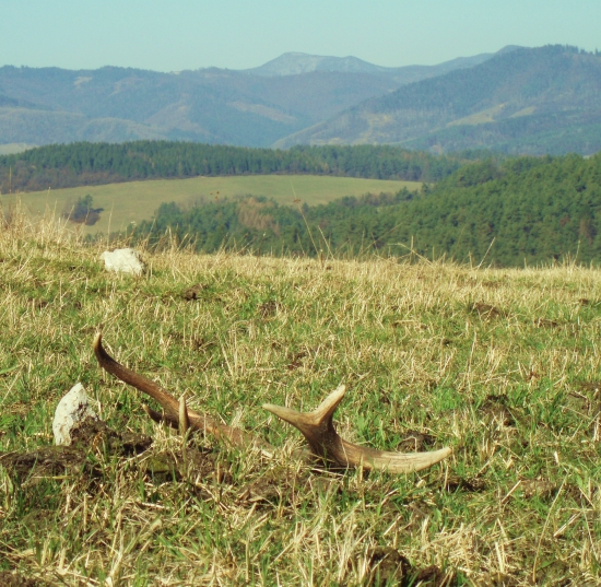 rano tu chamtali a nevideli ho