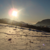 -18 C