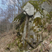 hlava