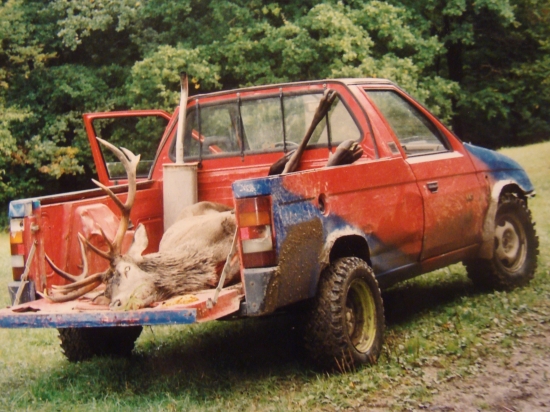 ruja 2004 navrat na chatu