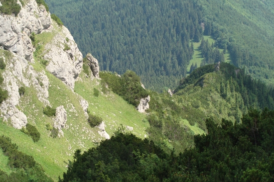 choč