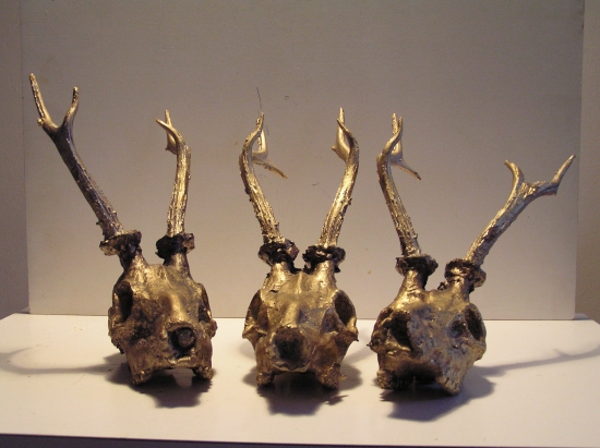 Srnčie trofeje - séria 