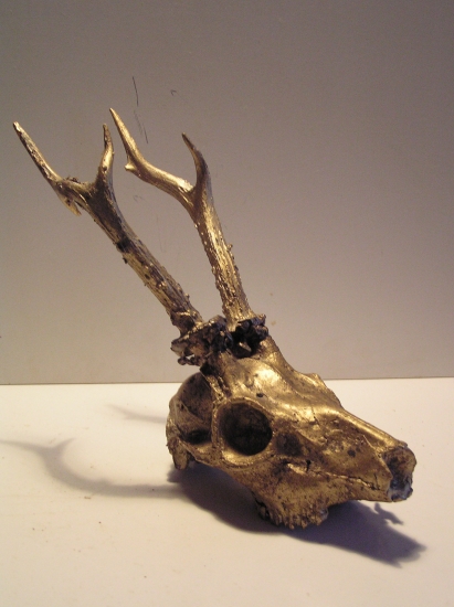 Trofej srnca-zo série 