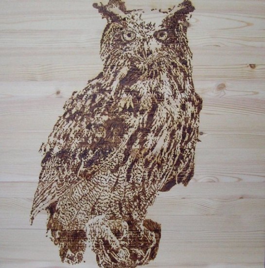 výr skalný vypaľovaný do stola(detail)