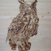 výr skalný vypaľovaný do stola(detail)