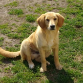 Charley